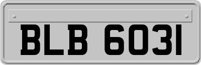 BLB6031