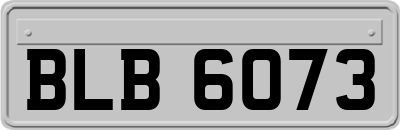 BLB6073