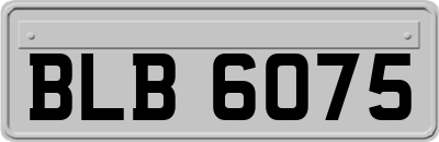 BLB6075
