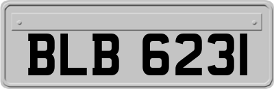 BLB6231