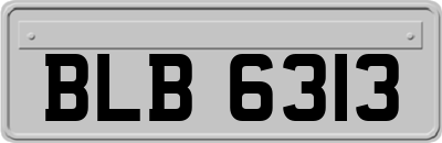BLB6313