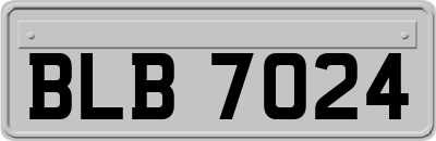 BLB7024