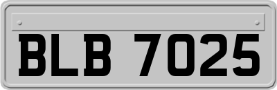 BLB7025