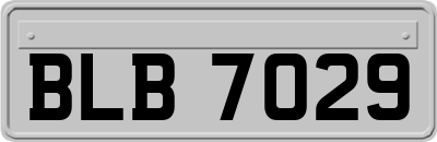 BLB7029