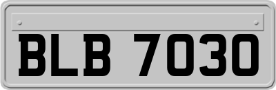 BLB7030