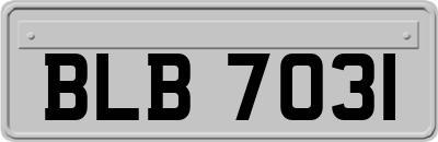 BLB7031