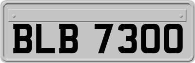 BLB7300