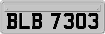 BLB7303