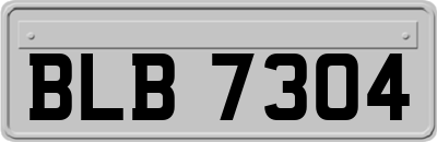 BLB7304