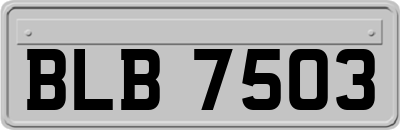 BLB7503