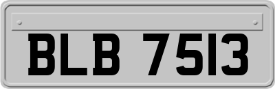 BLB7513