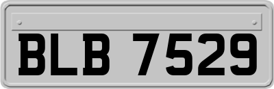 BLB7529