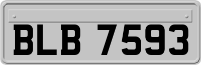 BLB7593