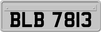 BLB7813