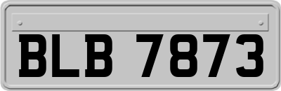 BLB7873