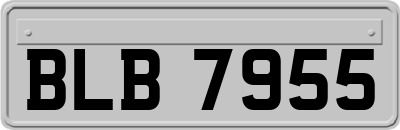 BLB7955