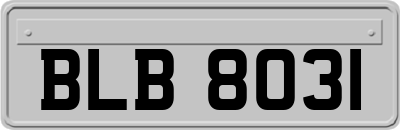 BLB8031