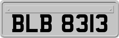 BLB8313