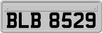 BLB8529