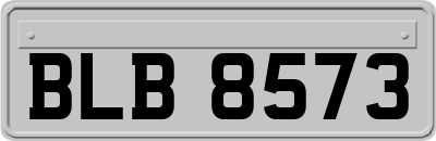 BLB8573
