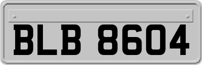 BLB8604