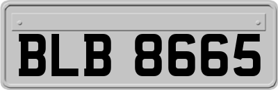 BLB8665