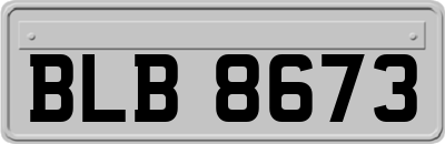 BLB8673