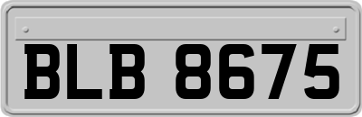 BLB8675