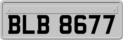 BLB8677