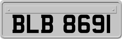 BLB8691