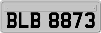 BLB8873