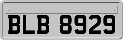 BLB8929