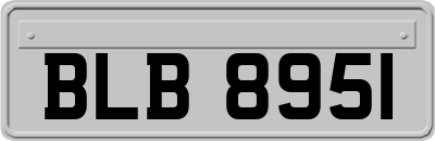 BLB8951
