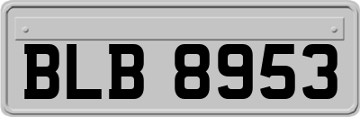BLB8953