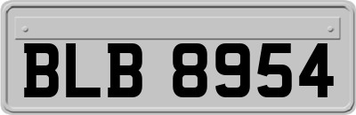 BLB8954
