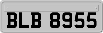 BLB8955