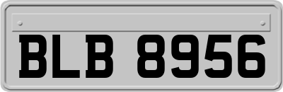 BLB8956