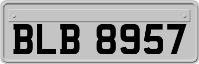 BLB8957