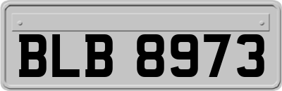 BLB8973