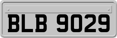 BLB9029