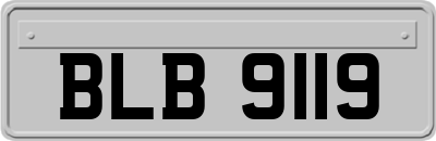 BLB9119