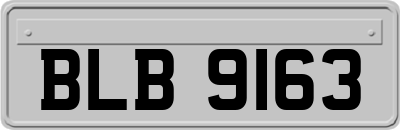 BLB9163
