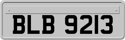 BLB9213