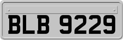 BLB9229