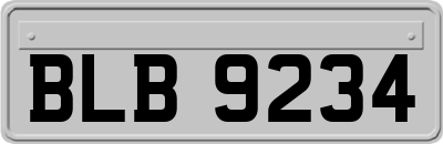 BLB9234