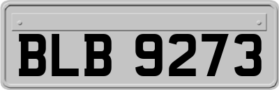 BLB9273