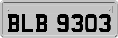 BLB9303