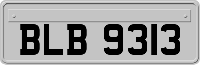 BLB9313