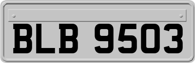 BLB9503