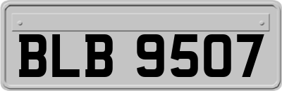 BLB9507